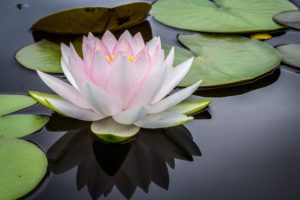 Natural Relief From Anxiety Is Within Your Reach