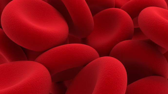 red blood cells