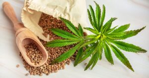 CBD (Cannabidiol) for Cardiovascular Diseases