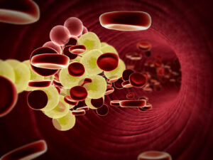 blood cells flowing through vein